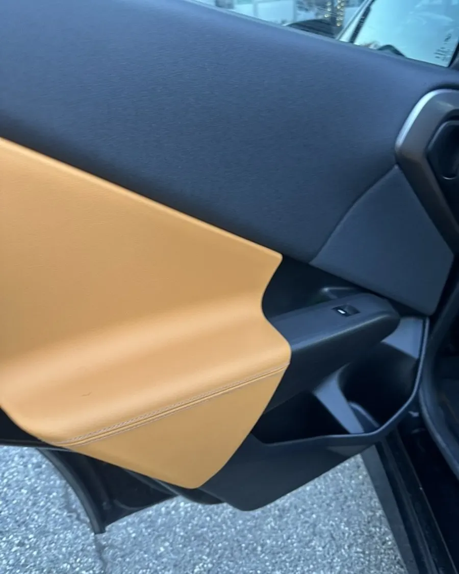 Leather door panel detail